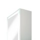 Зеркало-шкаф Allure LED 350х650 правый