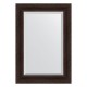 Зеркало настенное с фацетом EVOFORM в багетной раме тёмный прованс, 69х99 см, BY 3447