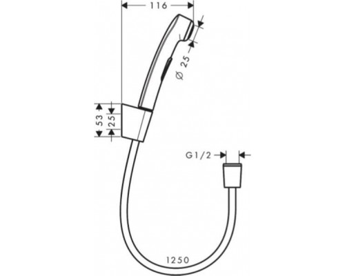 Гигиенический душ Hansgrohe 32129000 хром