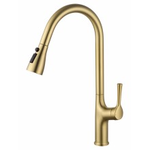 Смеситель для кухни с выдвижным изливом WONZON & WOGHAND, Брашированное золото (WW-AE54123-BG)