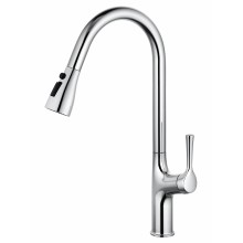 Смеситель для кухни с выдвижным изливом WONZON & WOGHAND, Хром (WW-AE54123-CR)