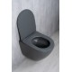 Унитаз подвесной Tornado Gid Tr2122TF-Dgm 62260Y серый матовый 49x36x36