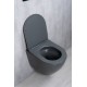 Унитаз подвесной Tornado Gid Tr2122TF-Dgm 62260Y серый матовый 49x36x36