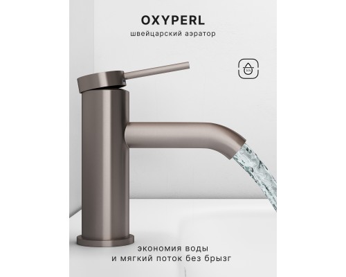 Смеситель д/раковины Abelsberg Fluida ERF22001BN, титан