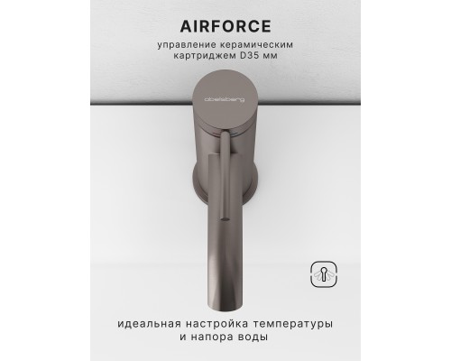 Смеситель д/раковины Abelsberg Fluida ERF22001BN, титан