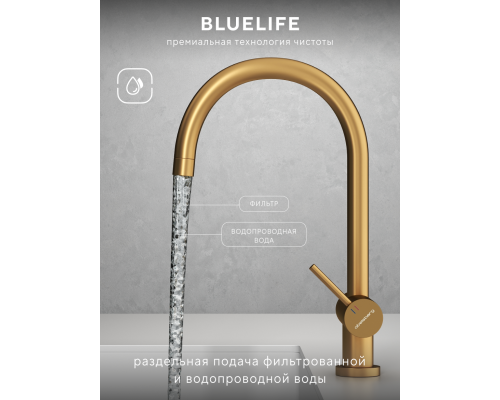 Смеситель д/кухни Abelsberg Aera AWF70029BG с фильтром д/воды, цвет королевское золото