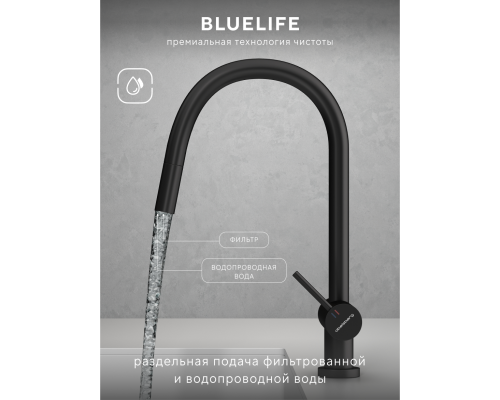 Смеситель д/кухни Abelsberg Aera EMF71709MB c вытяжным изливом и фильтром д/воды, цвет матовый черный