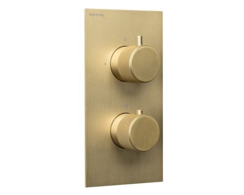 Смеситель для душа Splendy Passion, золото матовое, PA204U2T2GM