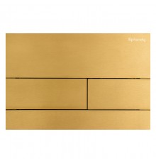 Клавиша смыва Splendy Stable Mood, золото матовое, SM302TMGM