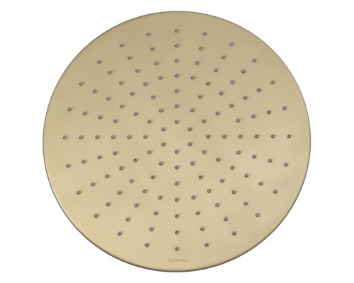 Верхний душ Splendy Feeling R 300x300 золотой матовый, FR212X300R1GM