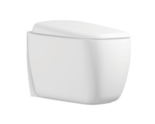 Унитаз подвесной KNOTLOR Капсула WC510PWG, белый глянец