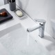 Смеситель для раковины Shevanik S4501, хром