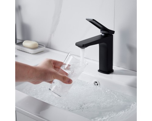 Смеситель для раковины Shevanik S4601H, черный
