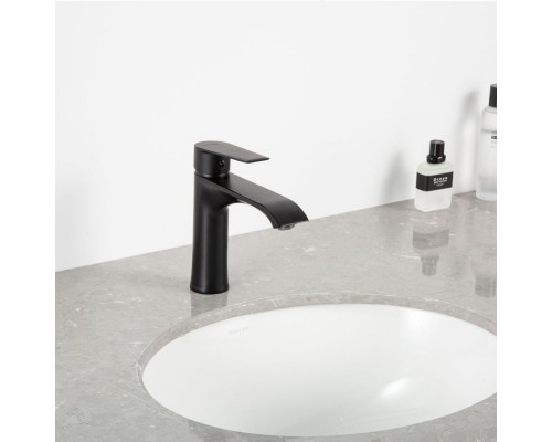 Смеситель для раковины Frap F10501-6, черный