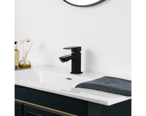 Смеситель для раковины Frud R10152, черный