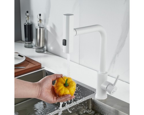 Смеситель для кухни с мультифункциональным изливом Shevanik S263C, белый