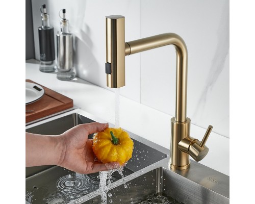 Смеситель для кухни с мультифункциональным изливом Shevanik S263G, золотой сатин