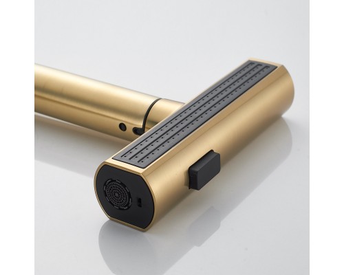 Смеситель для кухни с мультифункциональным изливом Shevanik S263G, золотой сатин