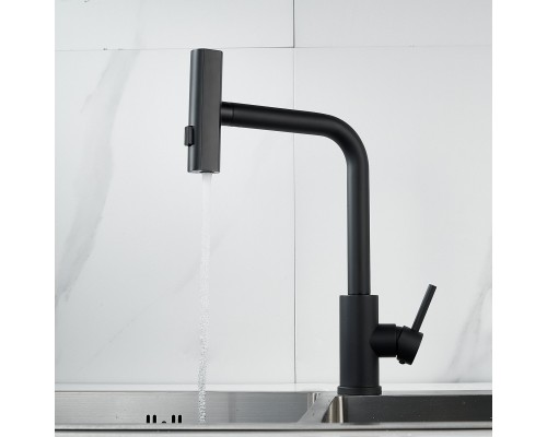 Смеситель для кухни с мультифункциональным изливом Shevanik S263H, черный