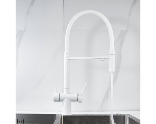 Смеситель для кухни с подключением фильтра Shevanik S178C, белый