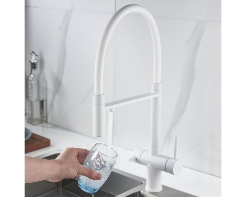 Смеситель для кухни с подключением фильтра Shevanik S178C, белый