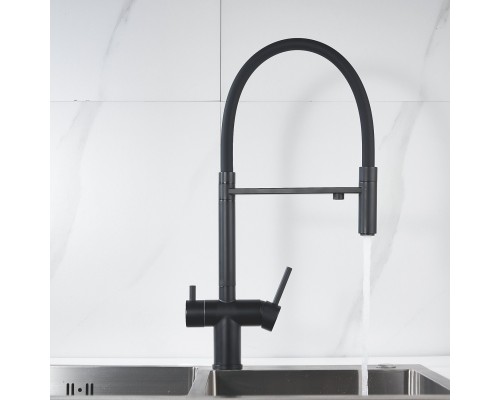 Смеситель для кухни с подключением фильтра Shevanik S178H, черный