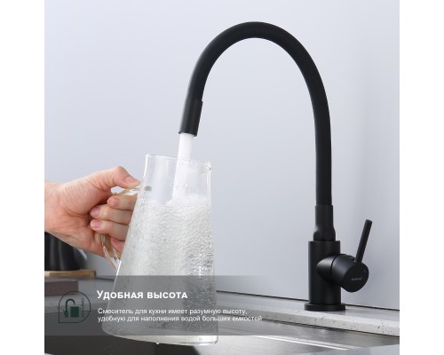 Смеситель для кухни Splenka S201.4406.06, черный
