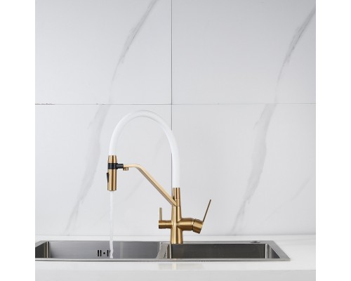 Смеситель для кухни с гибким изливом и подключением фильтра Shevanik S278G, золотой сатин