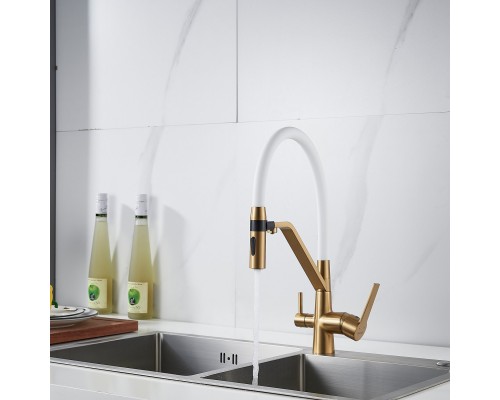 Смеситель для кухни с гибким изливом и подключением фильтра Shevanik S278G, золотой сатин
