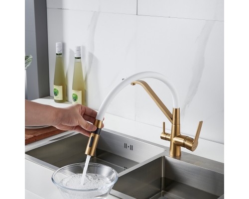 Смеситель для кухни с гибким изливом и подключением фильтра Shevanik S278G, золотой сатин