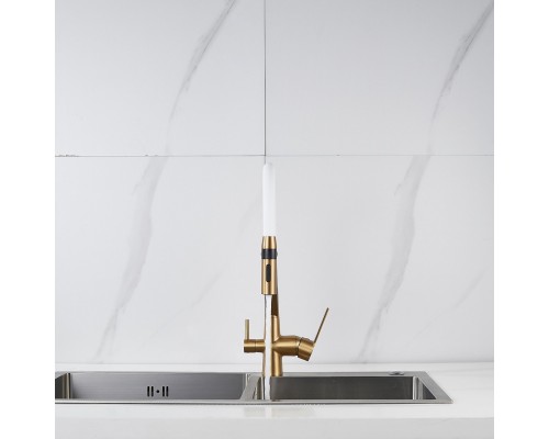 Смеситель для кухни с гибким изливом и подключением фильтра Shevanik S278G, золотой сатин