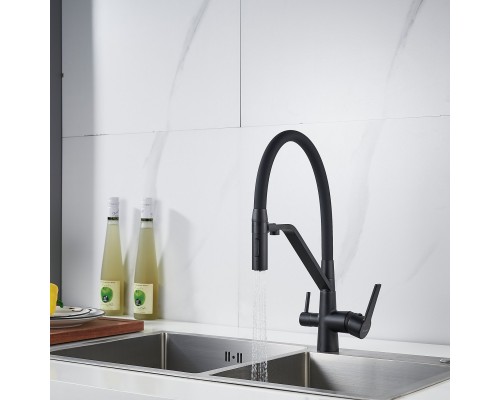 Смеситель для кухни с гибким изливом и подключением фильтра Shevanik S278H, черный
