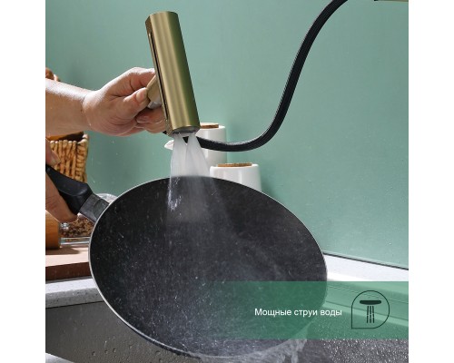 Смеситель для кухни с мультифункциональным изливом Splenka S206.49.03, золотой сатин