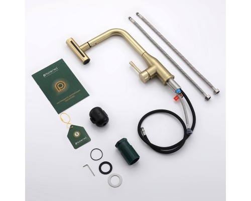 Смеситель для кухни с мультифункциональным изливом Splenka S206.49.03, золотой сатин