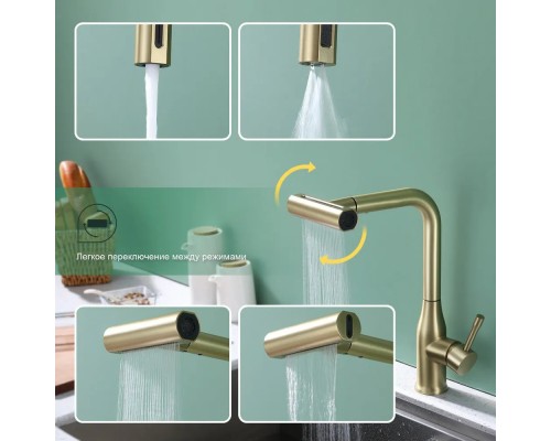 Смеситель для кухни с мультифункциональным изливом Splenka S206.49.03, золотой сатин
