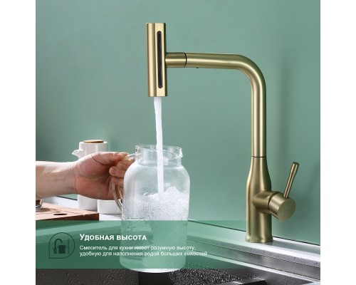 Смеситель для кухни с мультифункциональным изливом Splenka S206.49.03, золотой сатин