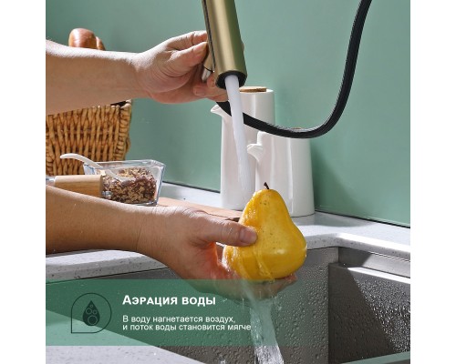 Смеситель для кухни с мультифункциональным изливом Splenka S206.49.03, золотой сатин