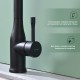 Смеситель для кухни с мультифункциональным изливом Splenka S206.49.06, черный