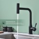 Смеситель для кухни с мультифункциональным изливом Splenka S206.49.06, черный