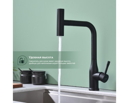 Смеситель для кухни с мультифункциональным изливом Splenka S206.49.06, черный