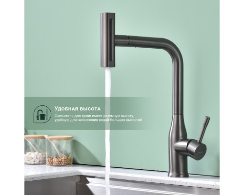 Смеситель для кухни с мультифункциональным изливом Splenka S206.49.09, графит