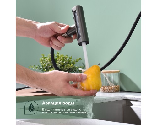 Смеситель для кухни с мультифункциональным изливом Splenka S206.49.09, графит