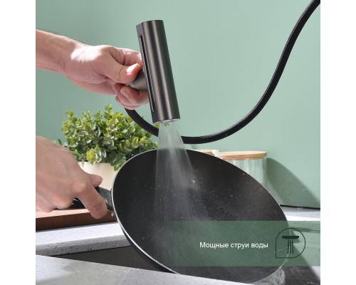Смеситель для кухни с мультифункциональным изливом Splenka S206.49.09, графит