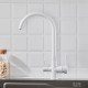 Смеситель для кухни с подключением фильтра Shevanik S428C, белый