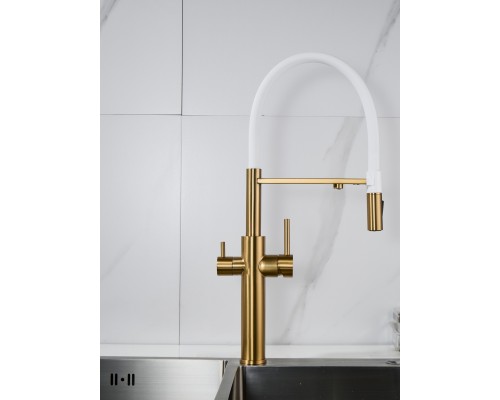 Смеситель для кухни с гибким изливом и подключением фильтра Shevanik S478G, золотой сатин