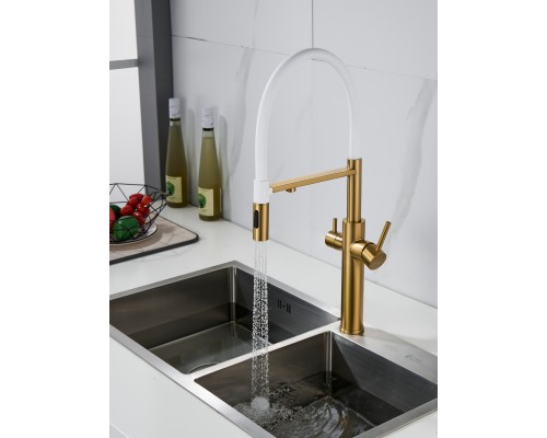 Смеситель для кухни с гибким изливом и подключением фильтра Shevanik S478G, золотой сатин