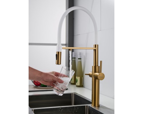 Смеситель для кухни с гибким изливом и подключением фильтра Shevanik S478G, золотой сатин
