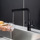 Смеситель для кухни с выдвижным изливом и подключением фильтра FRAP F4396-36, черный
