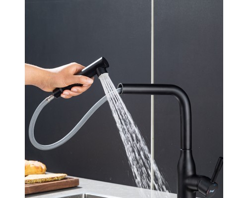 Смеситель для кухни с выдвижным изливом и режимом душ FRAP F6096-6, черный