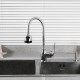Смеситель для кухни с гибким изливом и режимом душ FRUD R42055-3, хром